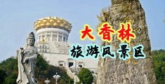 淫荡日本五十路老妇中国浙江-绍兴大香林旅游风景区